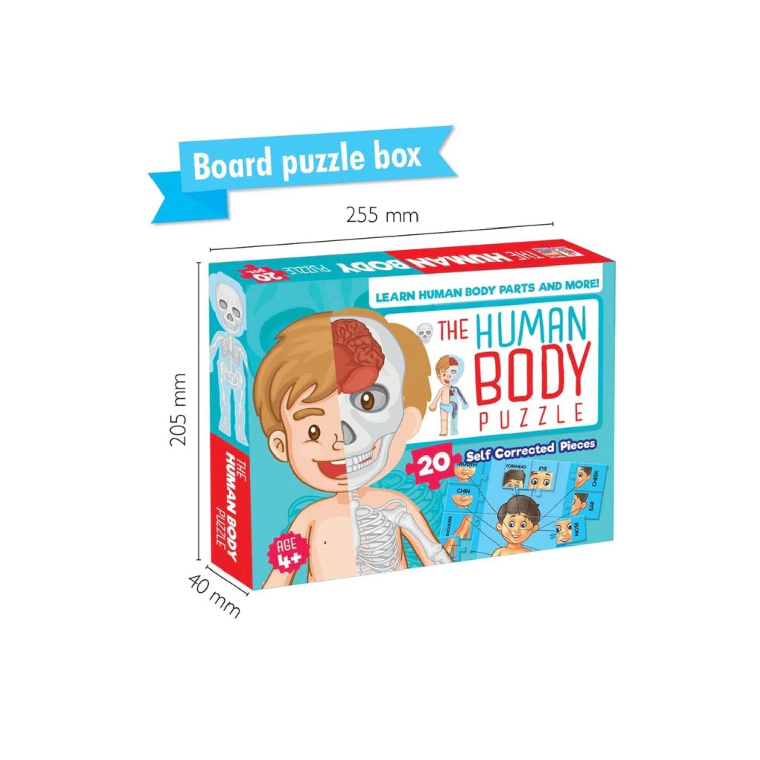 Puzzle jigsaw the human body 24pc