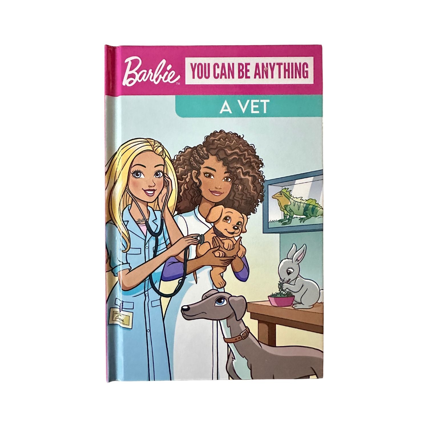 Barbie Reader You can be Anything - A Vet