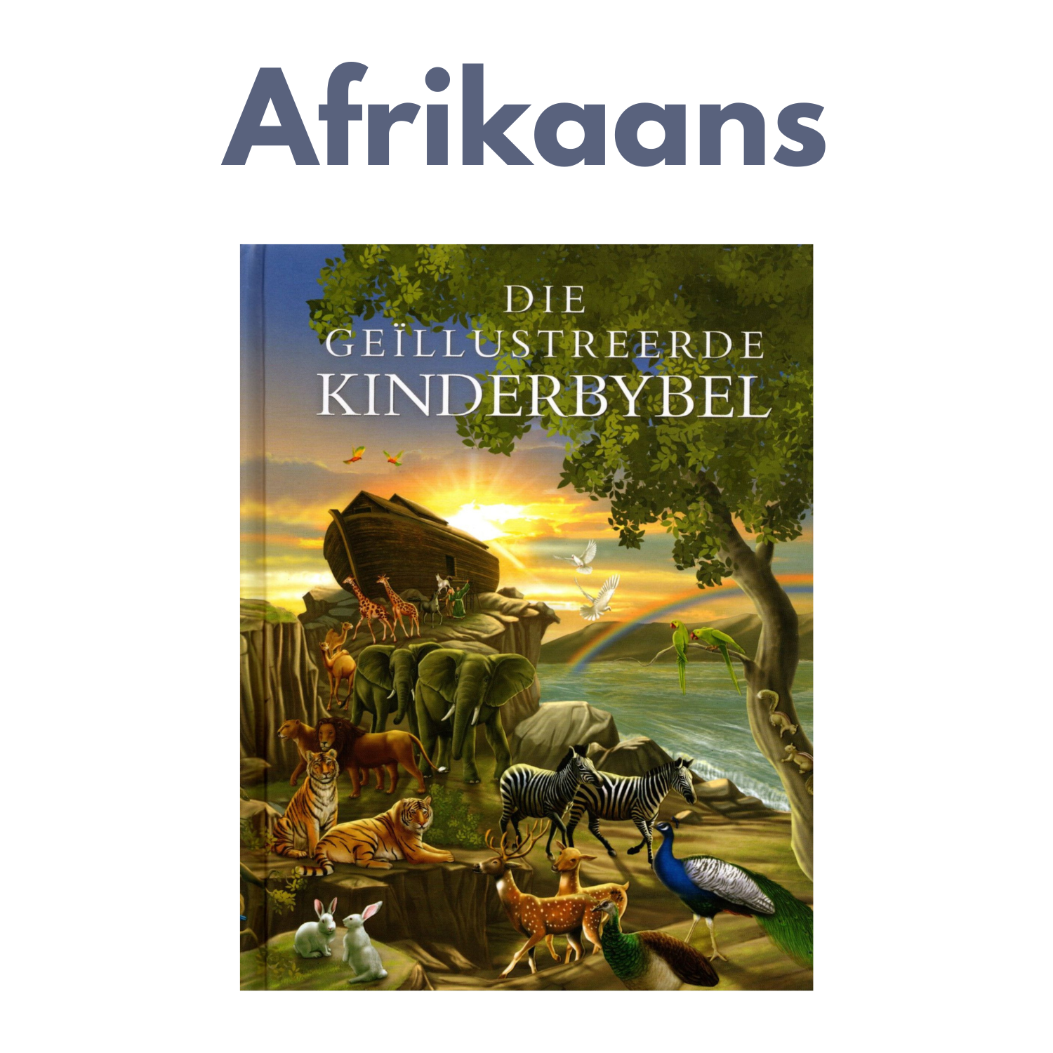 Book Religious Afrikaans Children's Bible