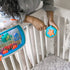 Baby Einstein - Sea Dreams Soother Crib Toy