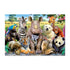 Educa It's a Class Photo Adult Puzzle 1000 Pieces