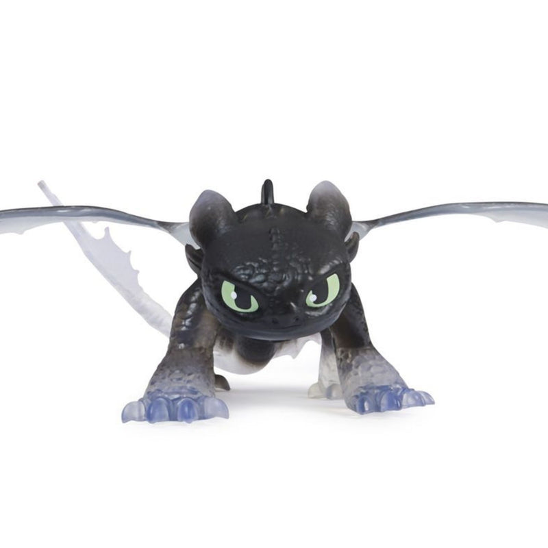 How To Train Your Dragon - Dragons Revealed Toothless