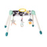 Taf Toys Mini Moon Take To Play Baby Gym