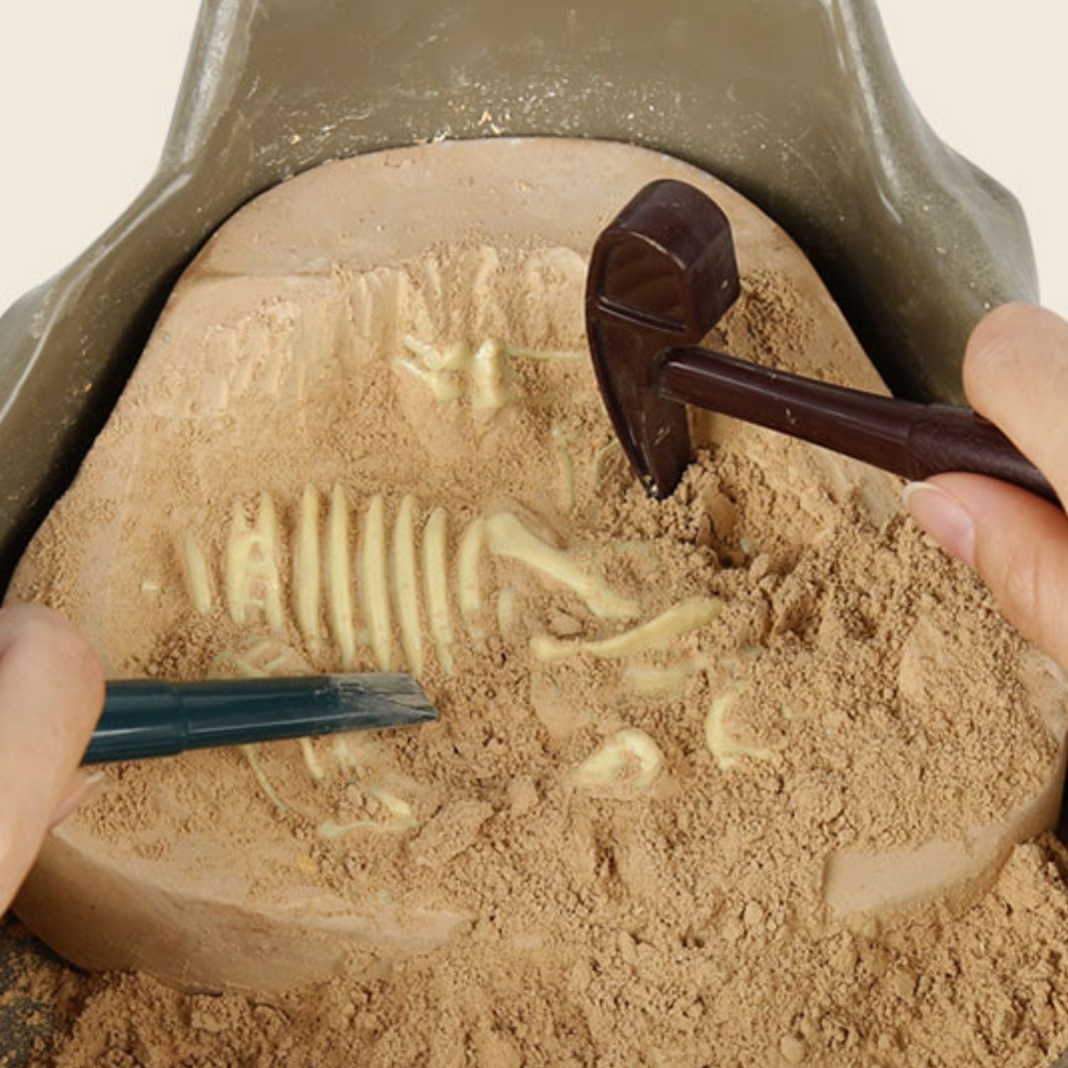 TopBright Cretaceous Deluxe Dinosaur Fossil Dig Kit